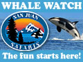 San Juan Islands Whale Watching