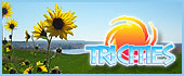Tri-Cities Travel Information