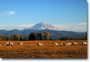 Mount Rainier