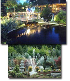 Clear Creek Nursery