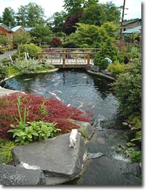 Clear Creek Nursery