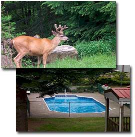 Lone Fir Resort