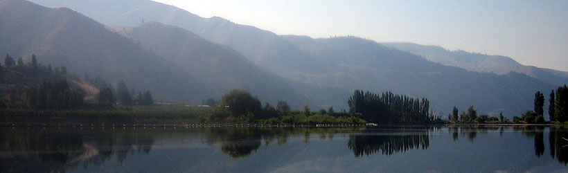 Quiet Reflection