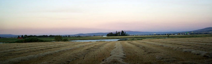 Tranquil Valley