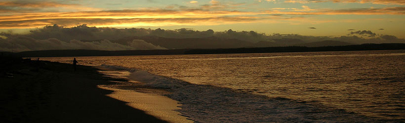 Pristine Shores
