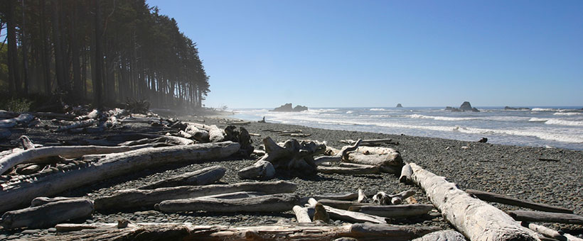 An Amazing Coastline
