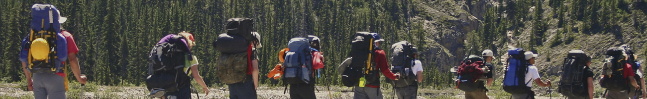 go-washington.com Travel Info