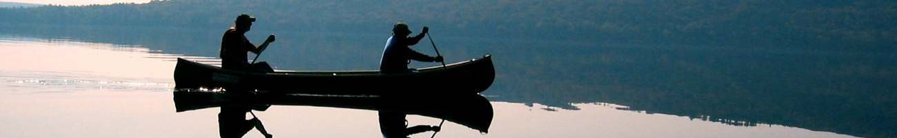 go-washington.com Travel Info