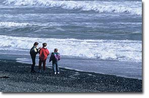 Olympic Peninsula Photos and Images