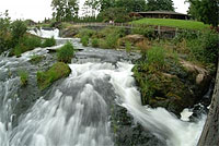 Outdoor Recreation in Olympia-Lacey-Tumwater, Washington