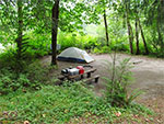 Bogachiel State Park on the Olympic Peninsula in Washington