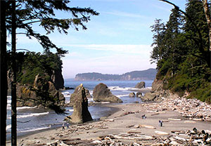 Olympic National Park in Washington