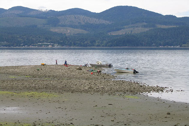 Commercial Harvesting of Oysters