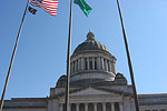 Capitol Dome Flags