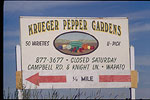 Kruegar Pepper Gardens