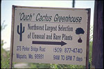 Cactus Greenhouse